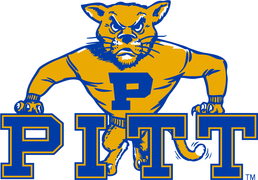 Pittsburgh Panthers 1980-1989 Alternate Logo diy iron on heat transfer